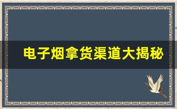 电子烟拿货渠道大揭秘：如何避免进货风险