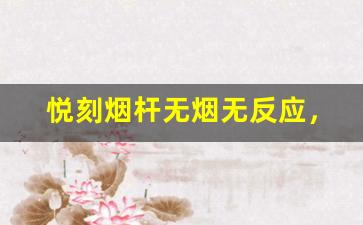 悦刻烟杆无烟无反应，原因及自我修复技巧