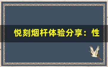 悦刻烟杆体验分享：性能与质量兼备吗