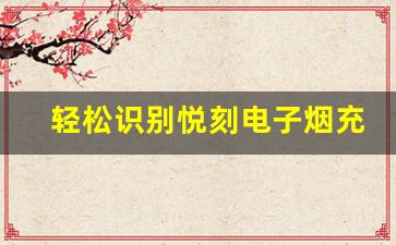 轻松识别悦刻电子烟充电状态的方法