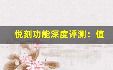 悦刻功能深度评测：值得购买吗