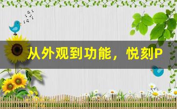 从外观到功能，悦刻Pro和五代的区别全解析