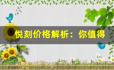 悦刻价格解析：你值得拥有的电子烟选择
