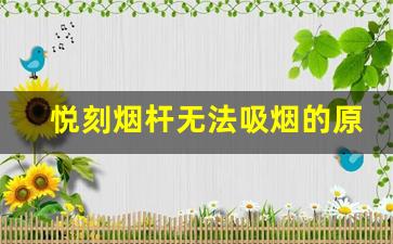 悦刻烟杆无法吸烟的原因及快速修复指南