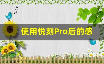 使用悦刻Pro后的感受：功能与性能的完美结合
