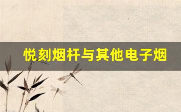 悦刻烟杆与其他电子烟的使用体验差异