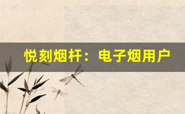 悦刻烟杆：电子烟用户的新宠
