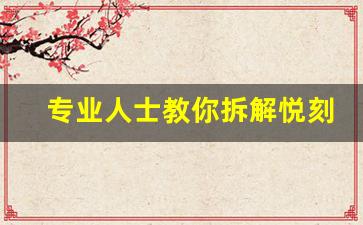 专业人士教你拆解悦刻机器